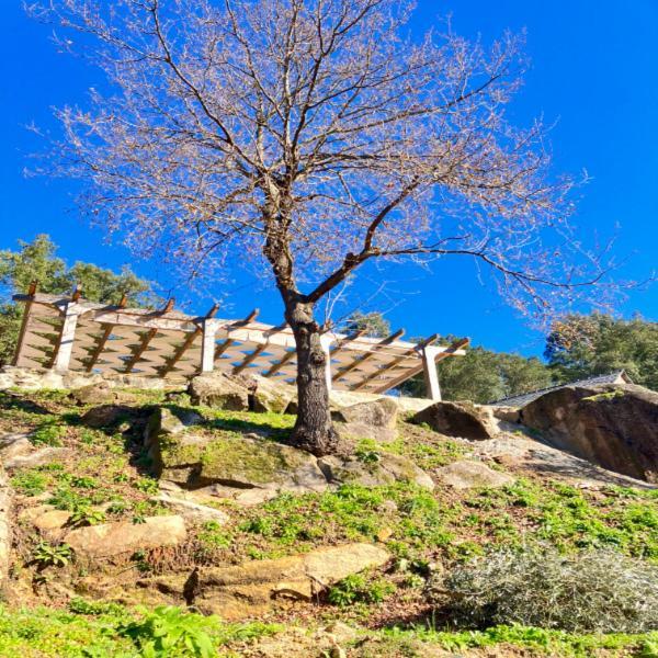 Paiva Valley Алваренга Екстер'єр фото